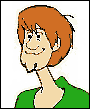 Shaggy